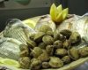 piatti pesce il timone