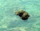 hotel timone il mare