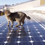 Impianto fotovoltaico realizzato a Ivrea - Falvo Impianti