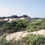 mare3