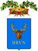provincia_di_brindisi-stemmapng