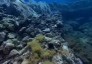 Panarea, journey in the Aeolian islands