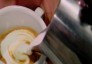 Cappuccino - Made in Italy web Tv