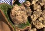 In Molise Enogastronomia