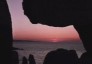 A Sea of Pink