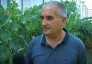 Antonio Venneri Terra Apuliae