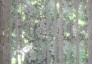 07.Maura_Banfo_home