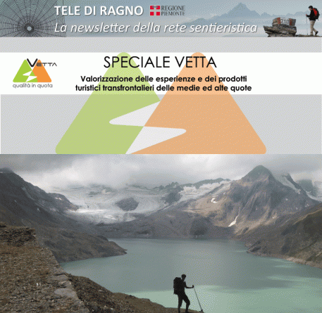 vetta newsletter